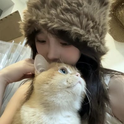 消失的收藏家